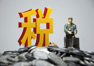 请人代增值税开专用发票,竟然被判无罪
