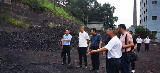 省局价监处检查督导广元煤炭价格工作